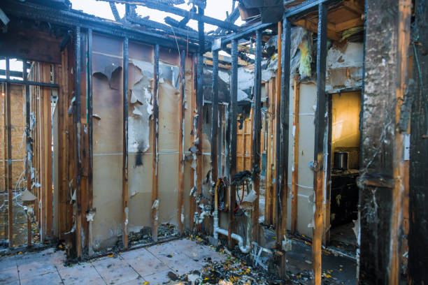 Professional Odor Removal technician working in Robbinsville, NJ