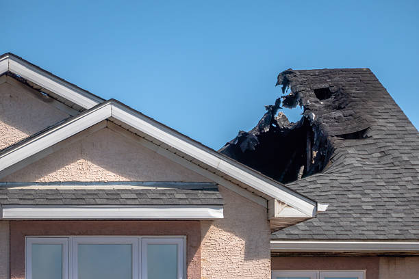 Top rated local Odor Removal specialists in Robbinsville, NJ